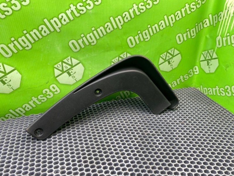 Брызговик, 1000 рублей, Калининград