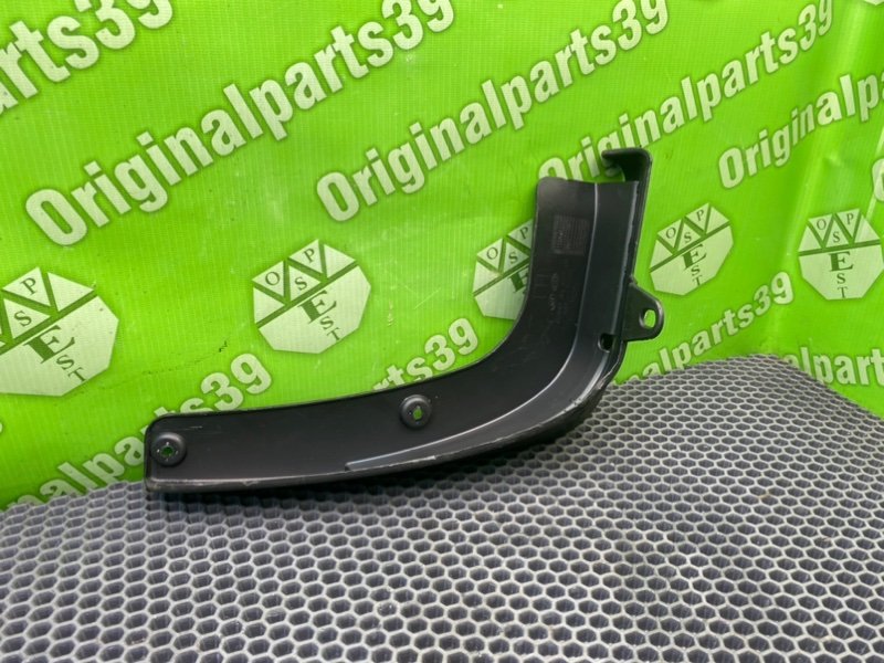 Брызговик, 1000 рублей, Калининград