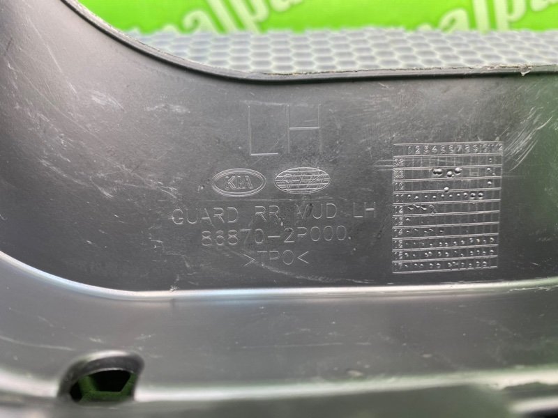 Брызговик, 1000 рублей, Калининград