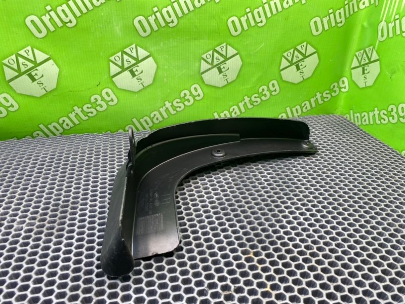 Брызговик, 1000 рублей, Калининград