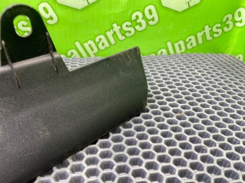 Брызговик, 1000 рублей, Калининград