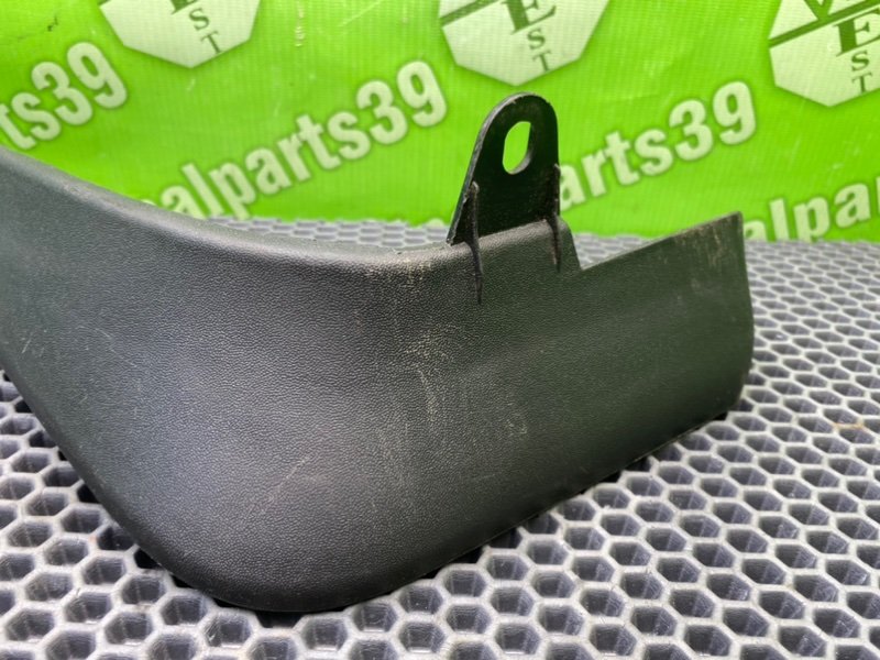 Брызговик, 1000 рублей, Калининград