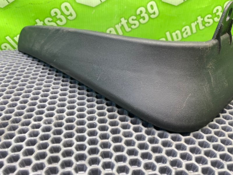 Брызговик, 1000 рублей, Калининград