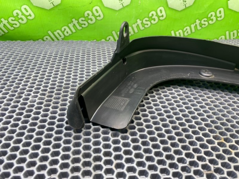 Брызговик, 1000 рублей, Калининград