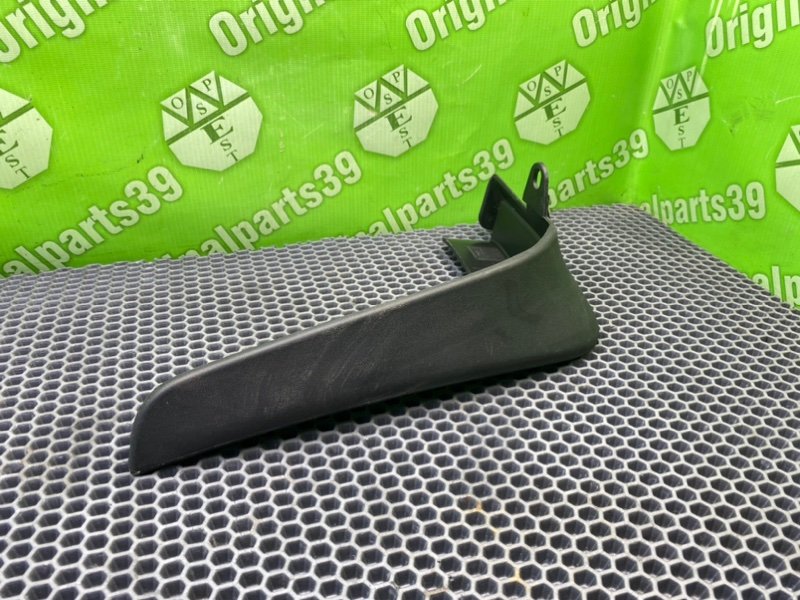 Брызговик, 1000 рублей, Калининград