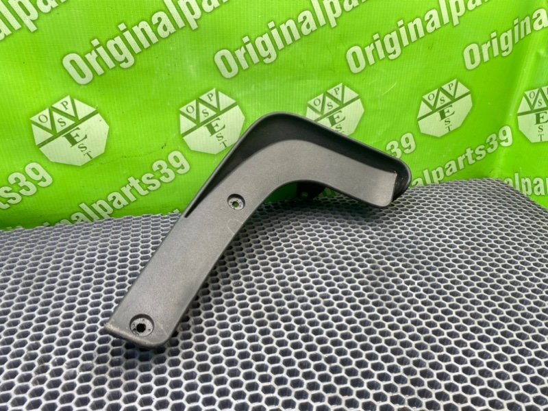 Брызговик, 1000 рублей, Калининград