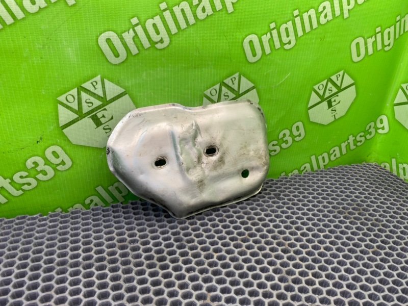 Защита, 1000 рублей, Калининград