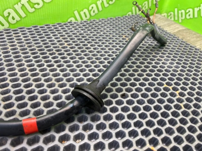 Проводка бензонасоса, 1300 рублей, Калининград