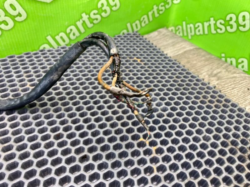 Проводка бензонасоса, 1300 рублей, Калининград