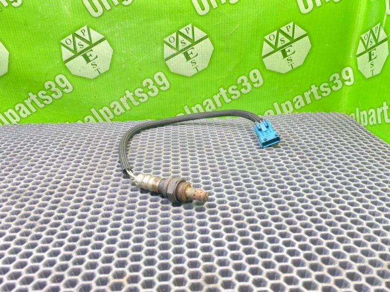 Лямбда зонд, 1000 рублей, Калининград