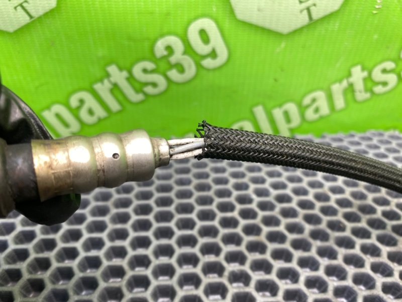 Лямбда зонд, 1000 рублей, Калининград