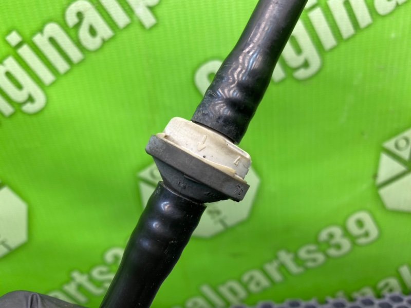 Трубка Гтц, 1000 рублей, Калининград