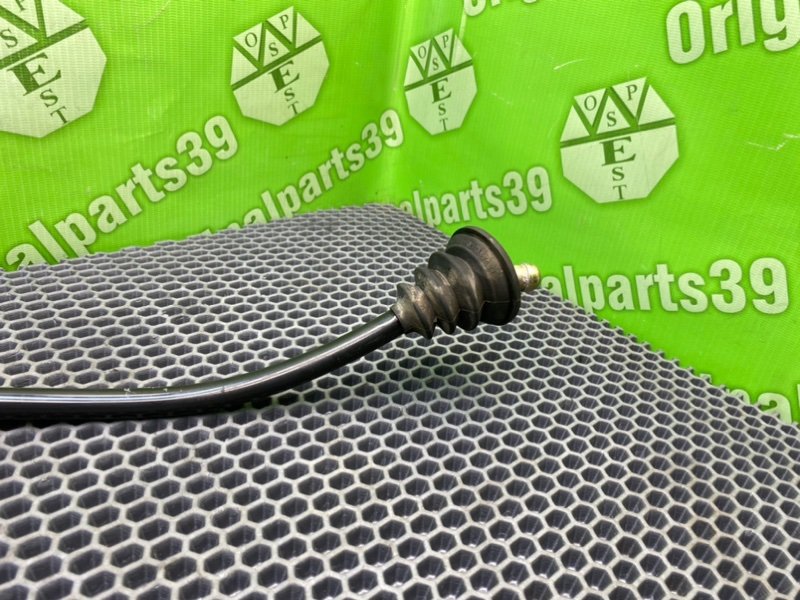 Трубка Гтц, 1000 рублей, Калининград