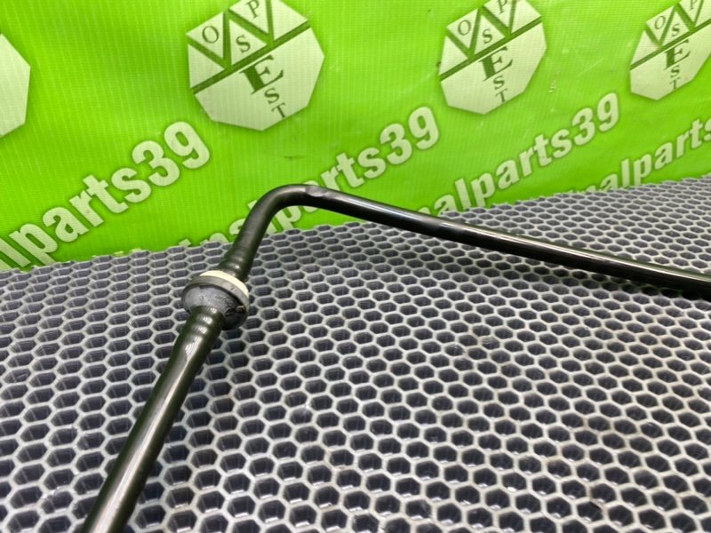 Трубка Гтц, 1000 рублей, Калининград