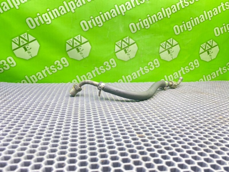 Трубка Гур, 1000 рублей, Калининград