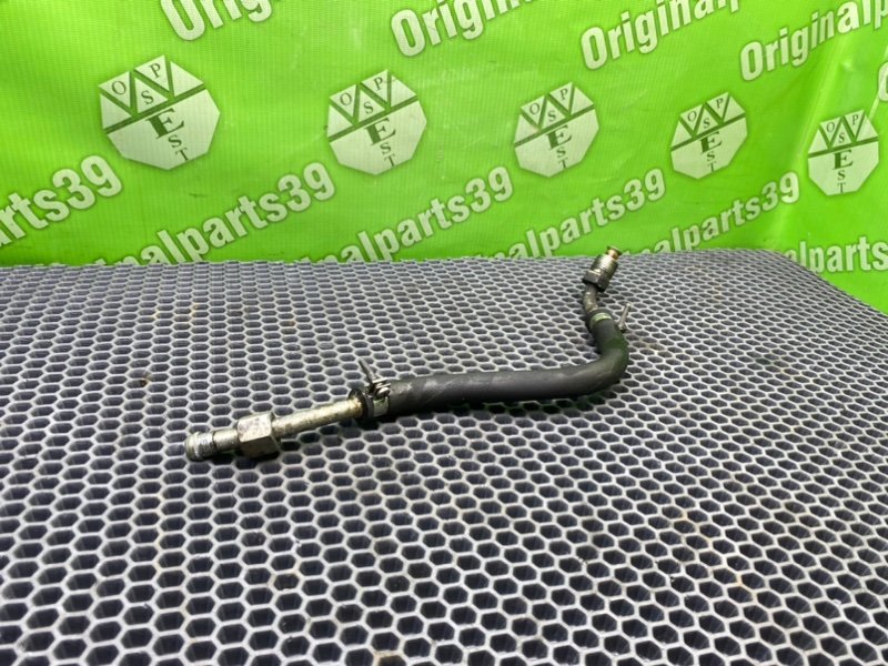 Трубка Гур, 1000 рублей, Калининград