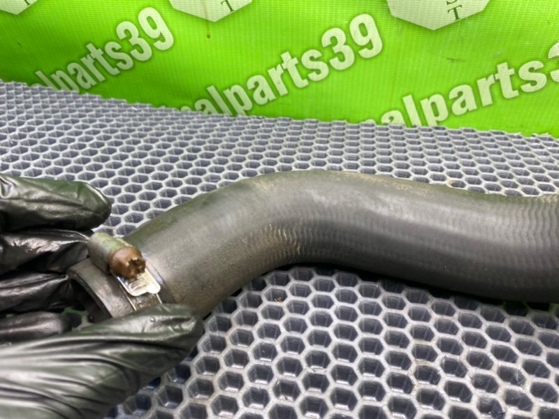 Патрубок радиатора, 1700 рублей, Калининград