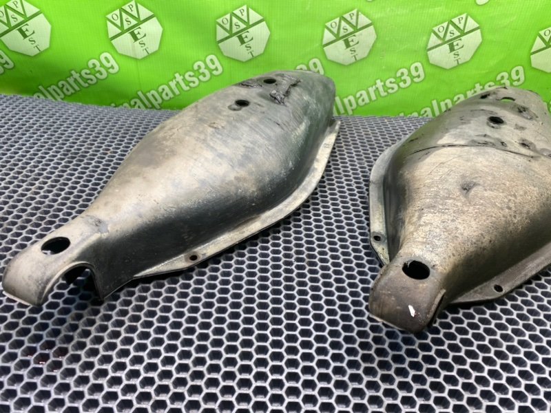 Пыльник, 1000 рублей, Калининград