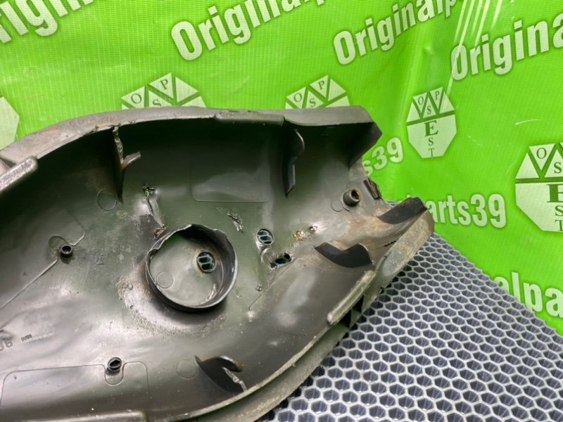 Пыльник, 1000 рублей, Калининград