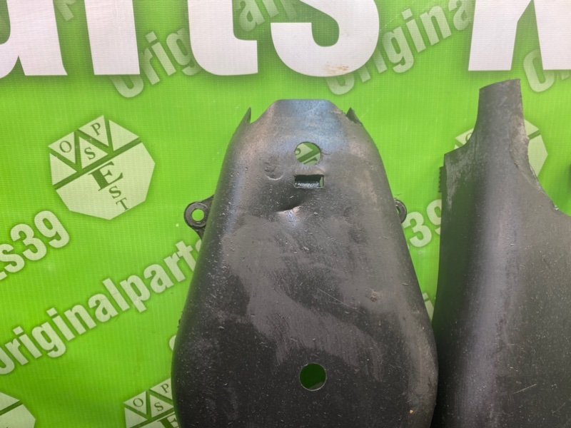 Защита, 1000 рублей, Калининград