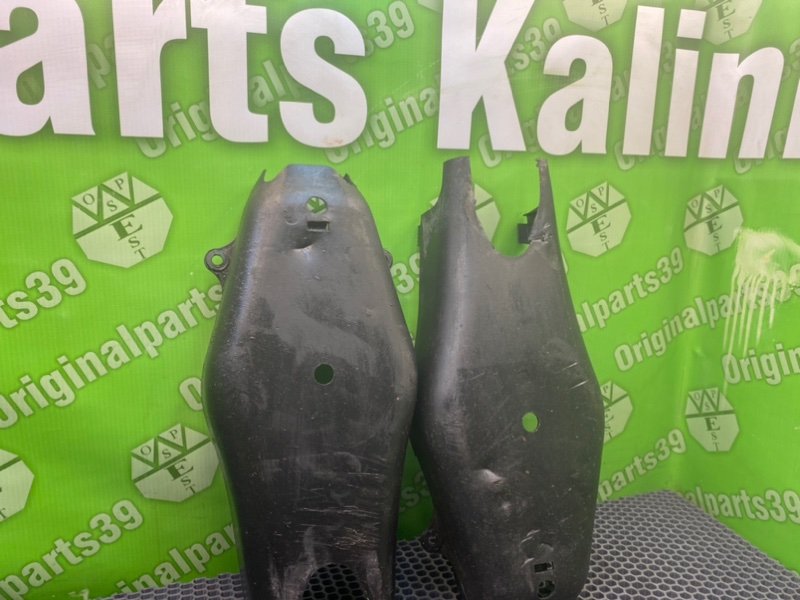 Защита, 1000 рублей, Калининград