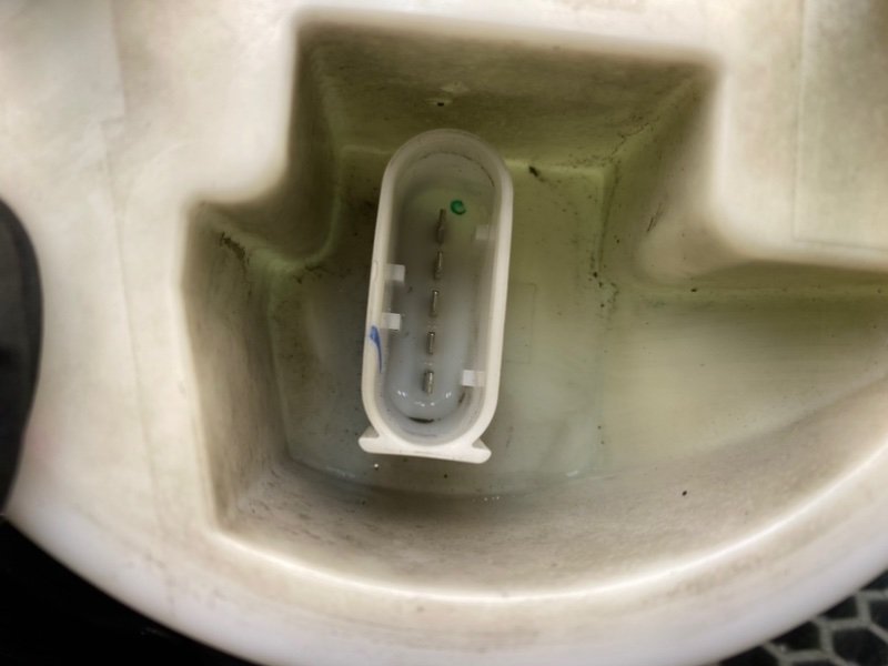 Дут, 1000 рублей, Калининград