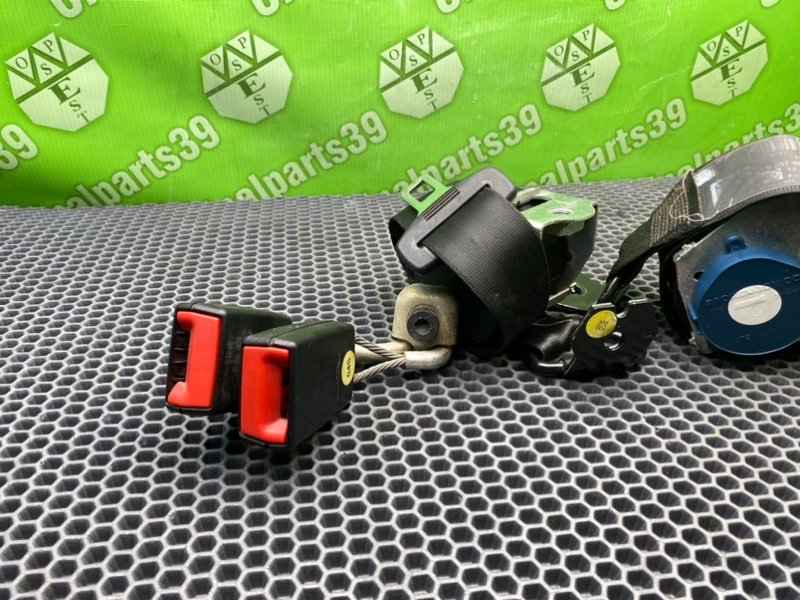 Ремни, 2000 рублей, Калининград