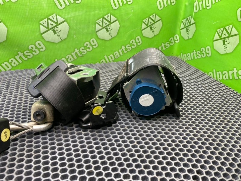 Ремни, 2000 рублей, Калининград