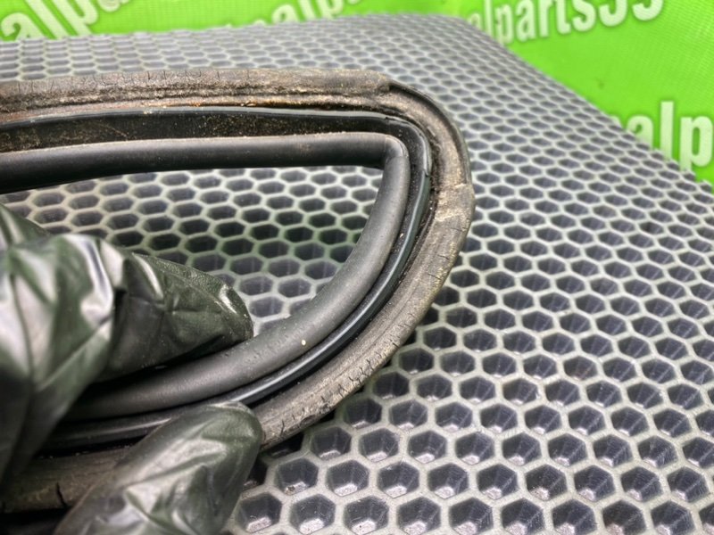 Резинка багажника, 2000 рублей, Калининград