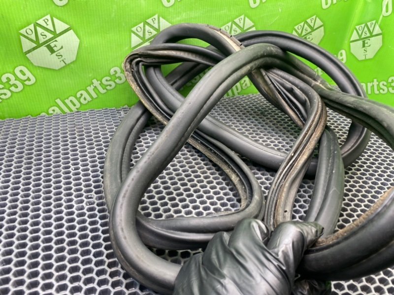 Резинка багажника, 2000 рублей, Калининград