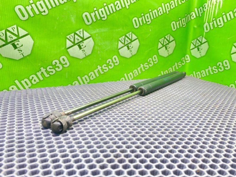 Амортизаторы багажника, 2100 рублей, Калининград