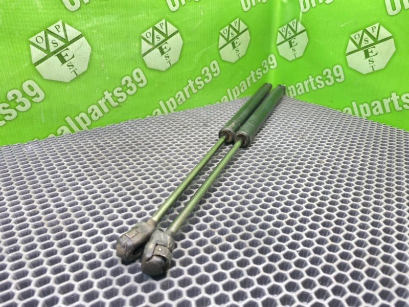 Амортизаторы багажника, 2100 рублей, Калининград