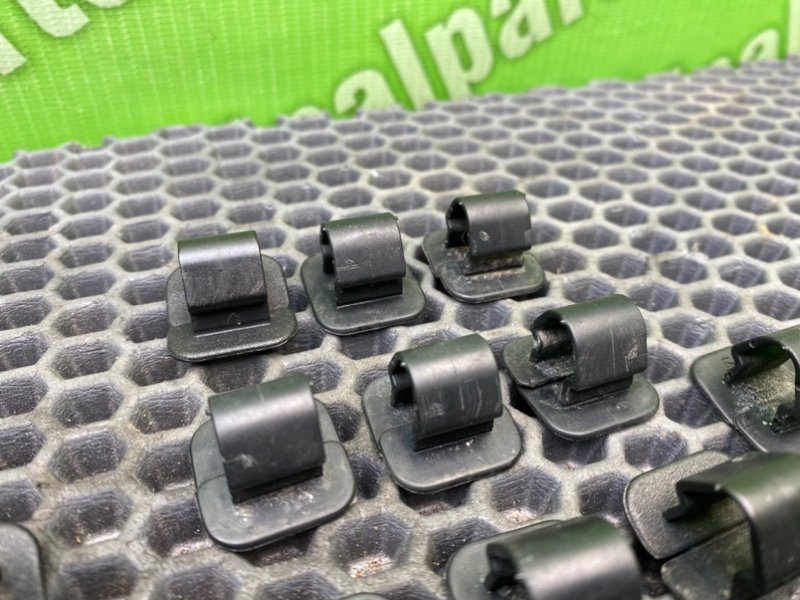 Клипсы, 900 рублей, Тверь