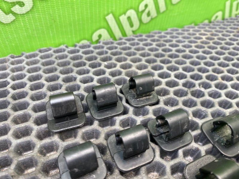 Клипсы, 900 рублей, Тверь