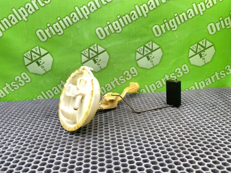 Дут, 1600 рублей, Калининград