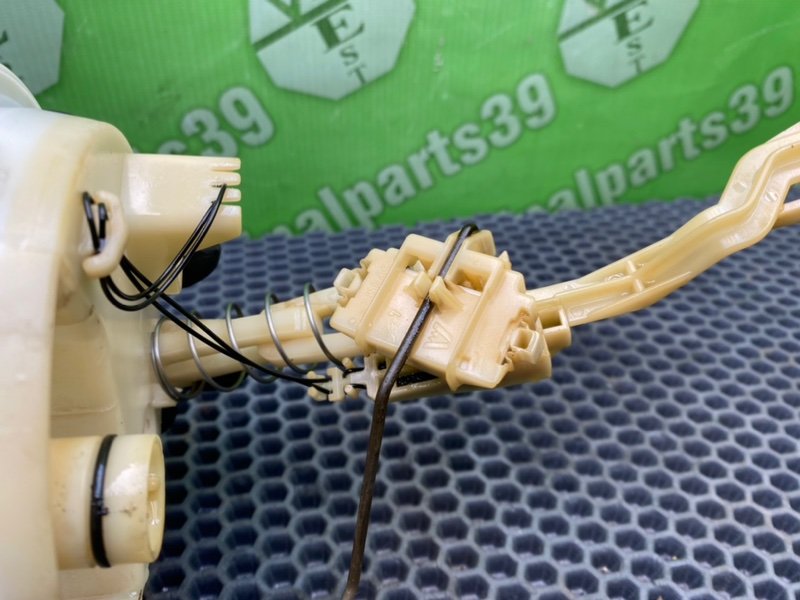 Дут, 1600 рублей, Калининград