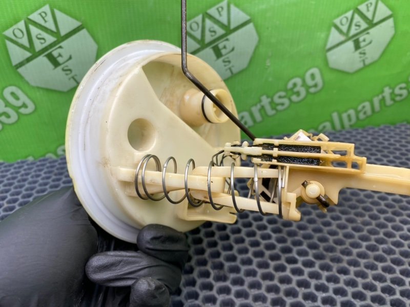 Дут, 1600 рублей, Калининград