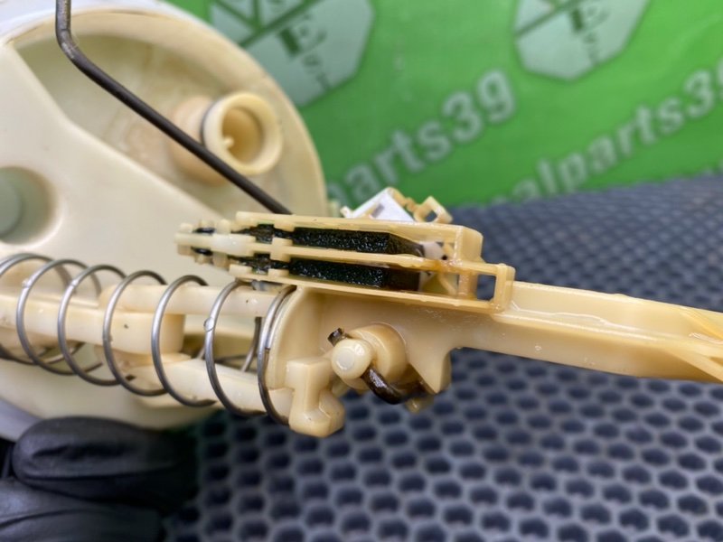 Дут, 1600 рублей, Калининград