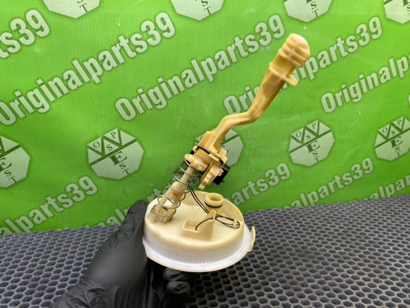 Дут, 1600 рублей, Калининград