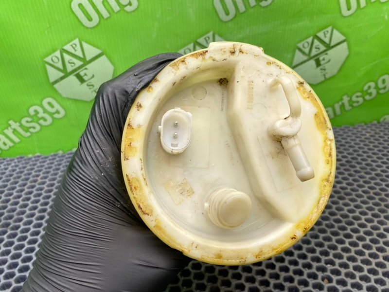 Дут, 1600 рублей, Калининград