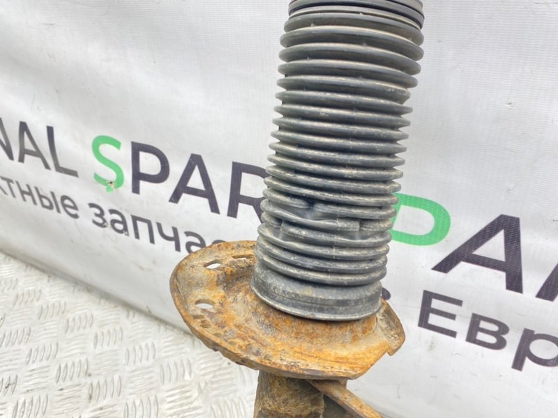 Амортизатор, 2000 рублей, Калининград