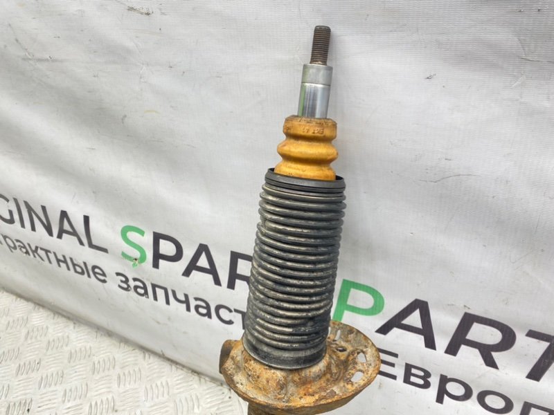 Амортизатор, 2000 рублей, Калининград