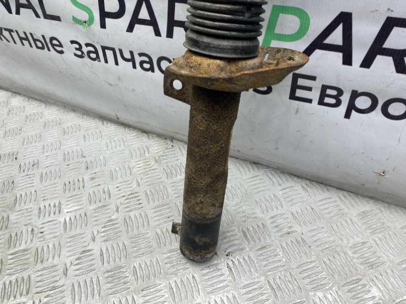 Амортизатор, 2000 рублей, Калининград