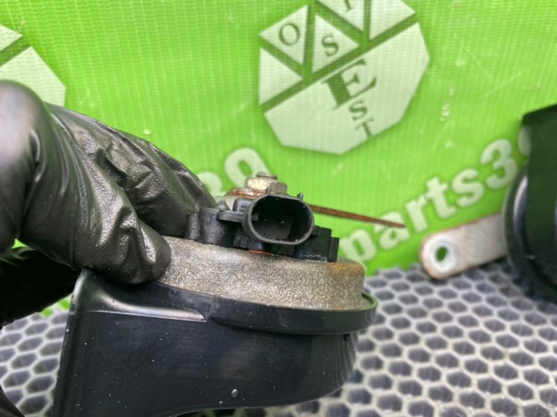 Звуковой сигнал, 1600 рублей, Калининград