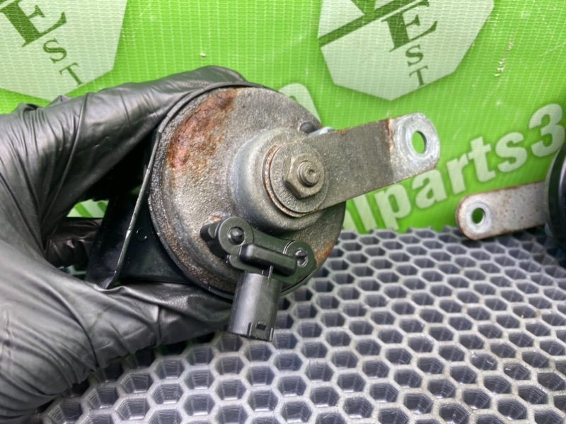 Звуковой сигнал, 1600 рублей, Калининград