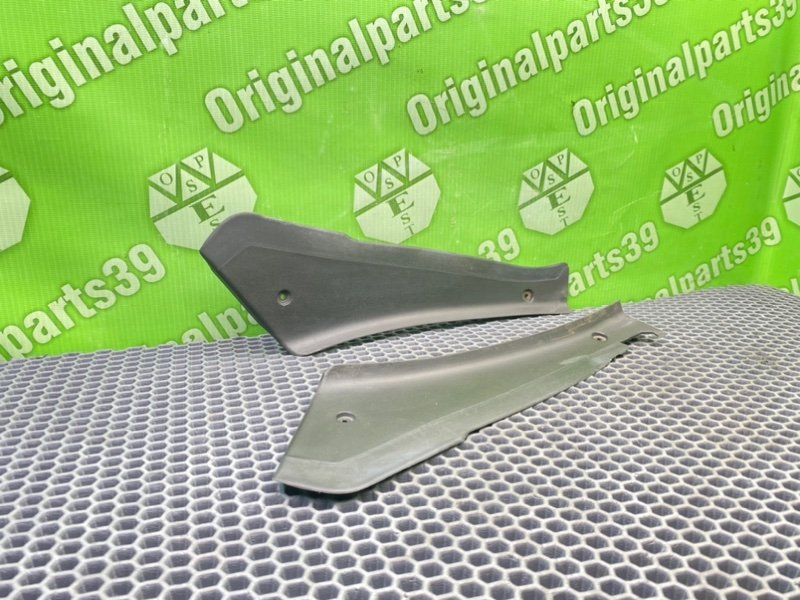 Накладки, 1000 рублей, Калининград