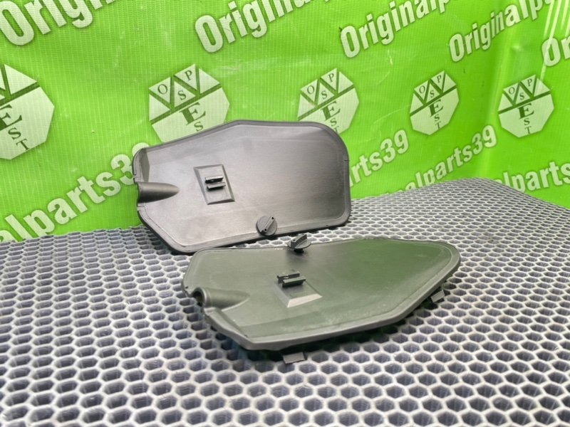 Накладки, 1000 рублей, Калининград