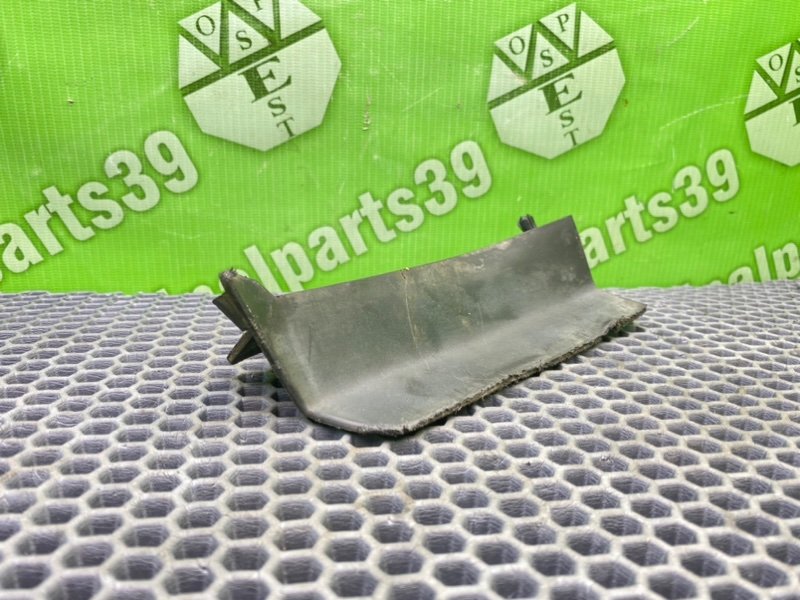 Брызговик, 1000 рублей, Калининград