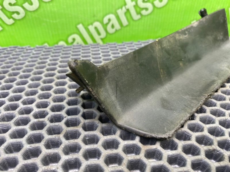 Брызговик, 1000 рублей, Калининград