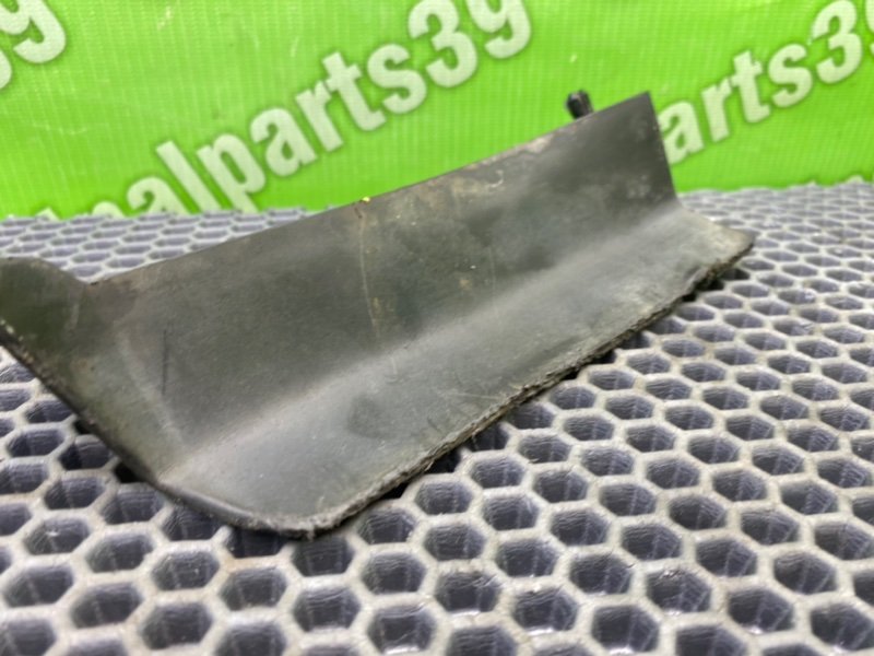 Брызговик, 1000 рублей, Калининград